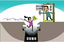 奉节融资清欠服务